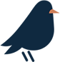 littleblackbird